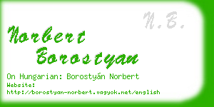 norbert borostyan business card