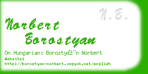 norbert borostyan business card